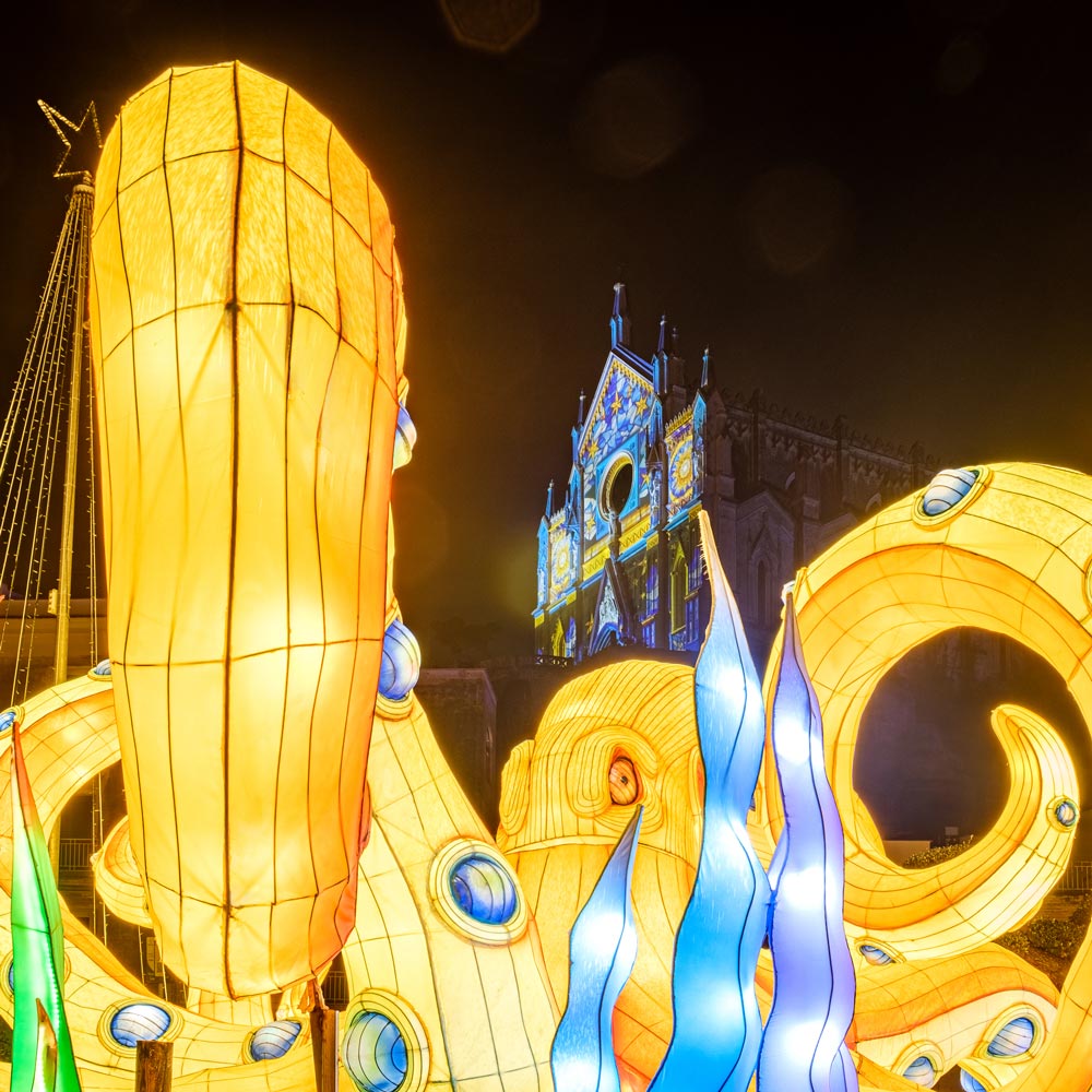 Luminarie di Gaeta - Ristorante paninoteca di mare Marelì